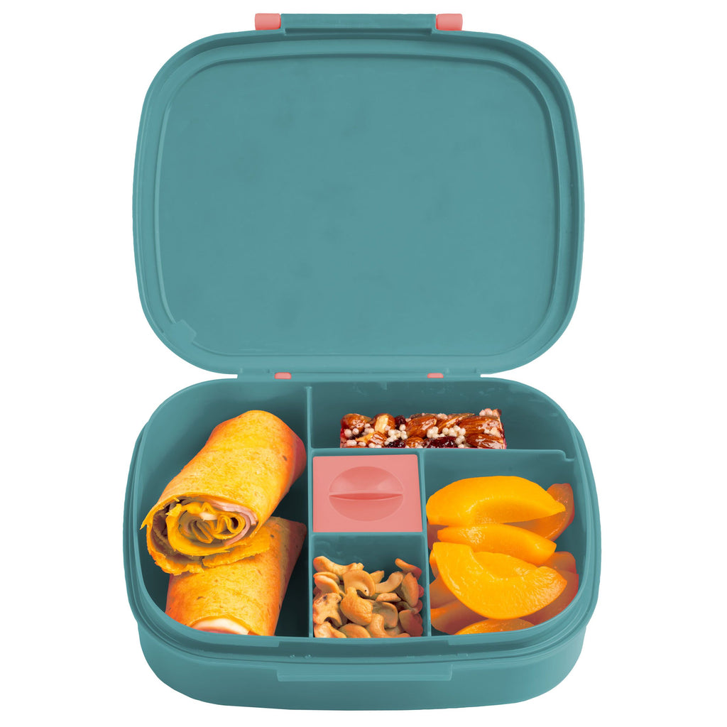 Bento Box Turquoise Blue
