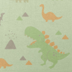 Knit Blanket Dino