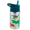 Image of Stainless Steel Water Bottle Dinosaur